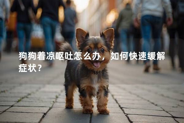 狗狗著涼嘔吐怎么辦，如何快速緩解癥狀？