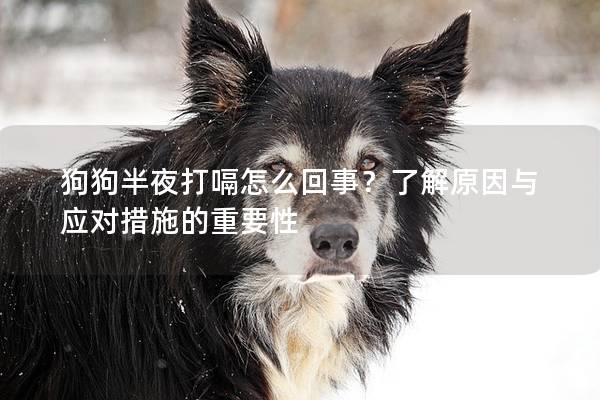 狗狗半夜打嗝怎么回事？了解原因與應(yīng)對(duì)措施的重要性