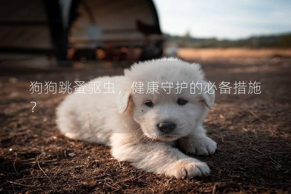 狗狗跳蚤驅蟲,健康守護的必備措施? 狗狗跳蚤驅蟲,健康守護的必備措施?
