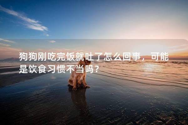 狗狗剛吃完飯就吐了怎么回事，可能是飲食習慣不當嗎？