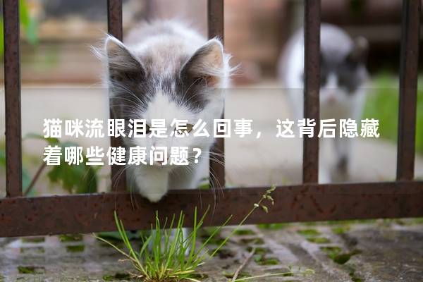 貓咪流眼淚是怎么回事，這背后隱藏著哪些健康問題？