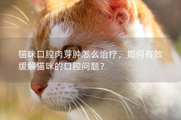 貓咪口腔肉芽腫怎么治療，如何有效緩解貓咪的口腔問(wèn)題？
