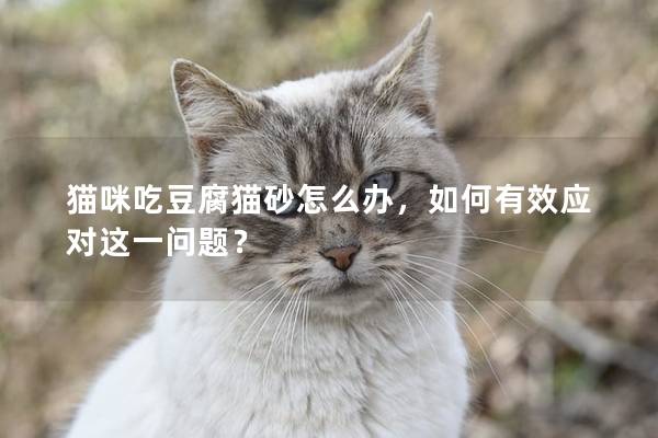 貓咪吃豆腐貓砂怎么辦，如何有效應(yīng)對這一問題？
