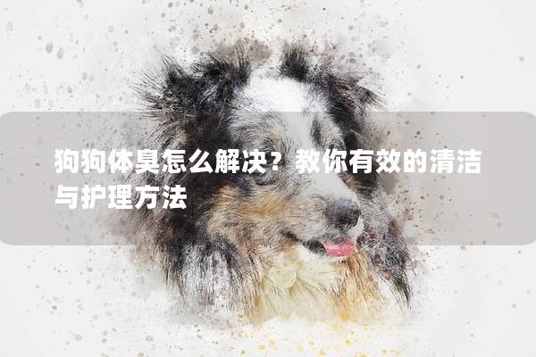 狗狗體臭怎么解決？教你有效的清潔與護理方法