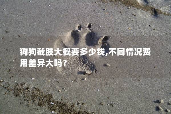 狗狗截肢大概要多少錢,不同情況費用差異大嗎？