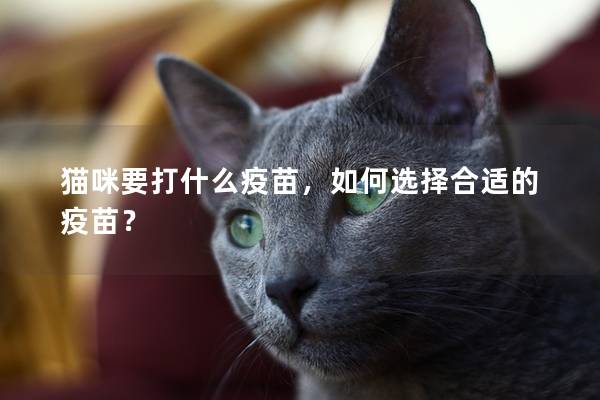 貓咪要打什么疫苗，如何選擇合適的疫苗？