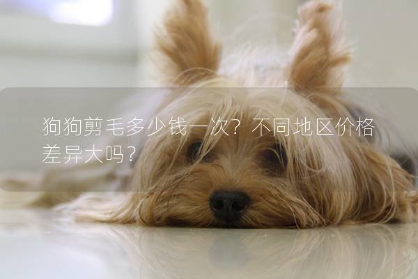 狗狗剪毛多少錢一次？不同地區價格差異大嗎？
