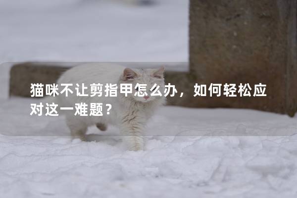 貓咪不讓剪指甲怎么辦，如何輕松應對這一難題？