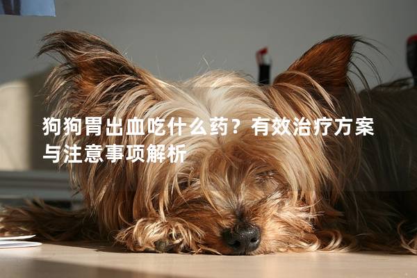 狗狗胃出血吃什么藥？有效治療方案與注意事項解析