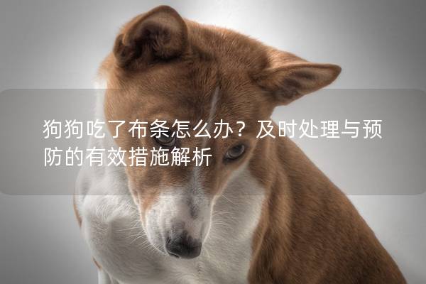 狗狗吃了布條怎么辦？及時處理與預防的有效措施解析