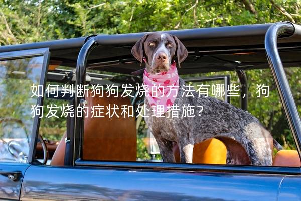 如何判斷狗狗發燒的方法有哪些，狗狗發燒的癥狀和處理措施？