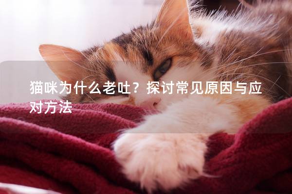 貓咪為什么老吐？探討常見原因與應對方法
