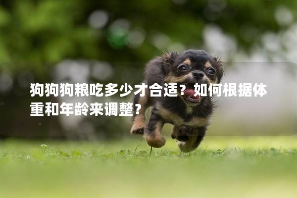 狗狗狗糧吃多少才合適？如何根據(jù)體重和年齡來調(diào)整？