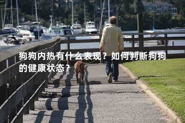 狗狗內熱有什么表現？如何判斷狗狗的健康狀態？