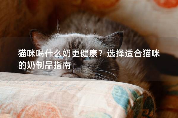 貓咪喝什么奶更健康？選擇適合貓咪的奶制品指南