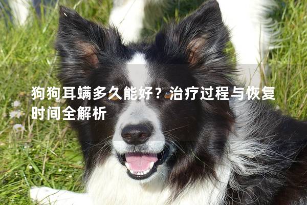 狗狗耳螨多久能好？治療過程與恢復時間全解析