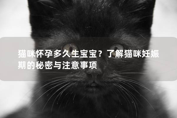 貓咪懷孕多久生寶寶？了解貓咪妊娠期的秘密與注意事項
