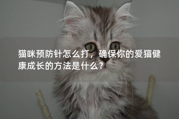 貓咪預防針怎么打，確保你的愛貓健康成長的方法是什么？