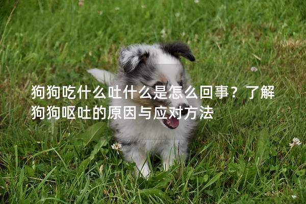 狗狗吃什么吐什么是怎么回事?了解狗狗嘔吐的原因與應對方法 狗狗吃什么吐什么是怎么回事?了解狗狗嘔吐的原因與應對方法
