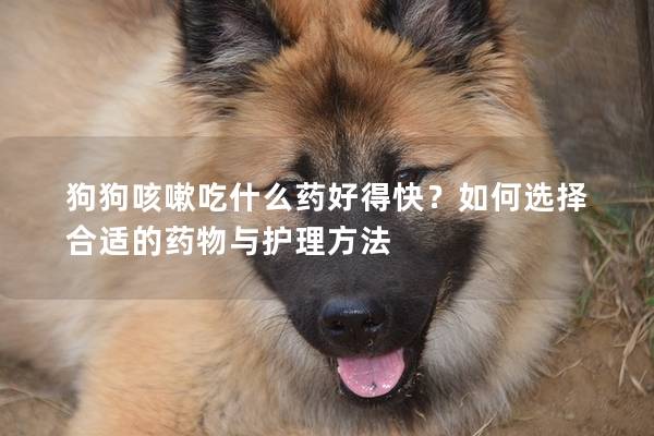 狗狗咳嗽吃什么藥好得快?如何選擇合適的藥物與護理方法 狗狗咳嗽吃什么藥好得快?如何選擇合適的藥物與護理方法