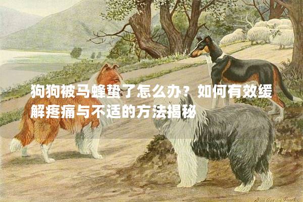 狗狗被馬蜂蟄了怎么辦？如何有效緩解疼痛與不適的方法揭秘
