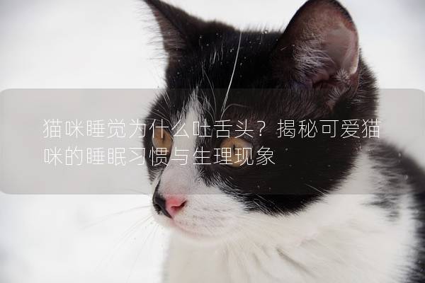 貓咪睡覺為什么吐舌頭？揭秘可愛貓咪的睡眠習慣與生理現象