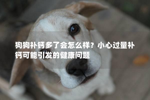 狗狗補鈣多了會怎么樣？小心過量補鈣可能引發的健康問題