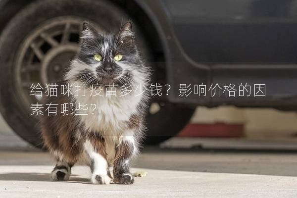 給貓咪打疫苗多少錢？影響價(jià)格的因素有哪些？