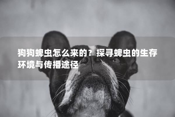 狗狗蜱蟲怎么來的？探尋蜱蟲的生存環境與傳播途徑
