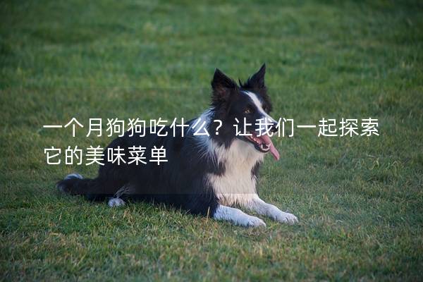 一個月狗狗吃什么?讓我們一起探索它的美味菜單 一個月狗狗吃什么?讓我們一起探索它的美味菜單