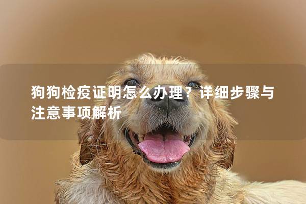 狗狗檢疫證明怎么辦理？詳細步驟與注意事項解析