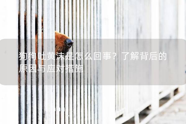 狗狗吐黃沫是怎么回事？了解背后的原因與應對措施