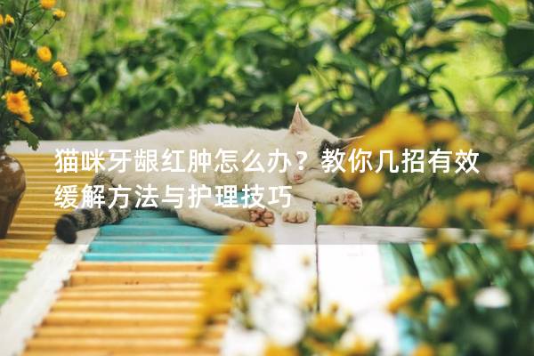 貓咪牙齦紅腫怎么辦？教你幾招有效緩解方法與護理技巧