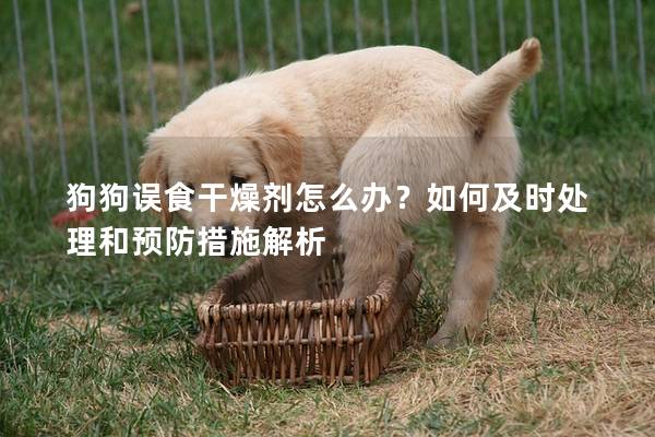 狗狗誤食干燥劑怎么辦？如何及時(shí)處理和預(yù)防措施解析