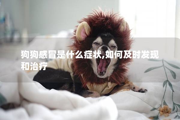 狗狗感冒是什么癥狀,如何及時發(fā)現(xiàn)和治療