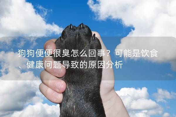 狗狗便便很臭怎么回事？可能是飲食、健康問題導(dǎo)致的原因分析