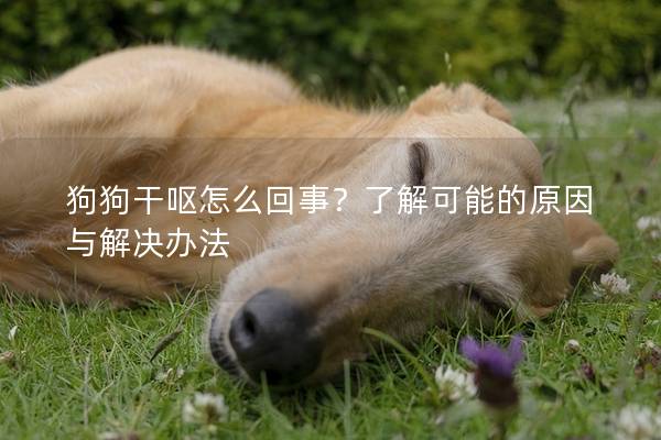 狗狗干嘔怎么回事？了解可能的原因與解決辦法