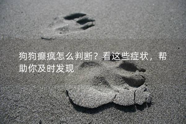狗狗癲瘋怎么判斷？看這些癥狀，幫助你及時發(fā)現(xiàn)
