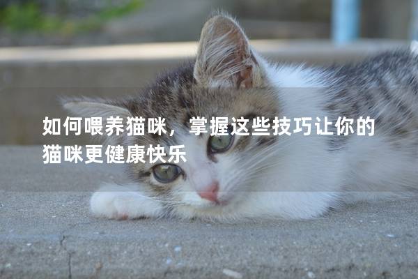 如何喂養(yǎng)貓咪，掌握這些技巧讓你的貓咪更健康快樂