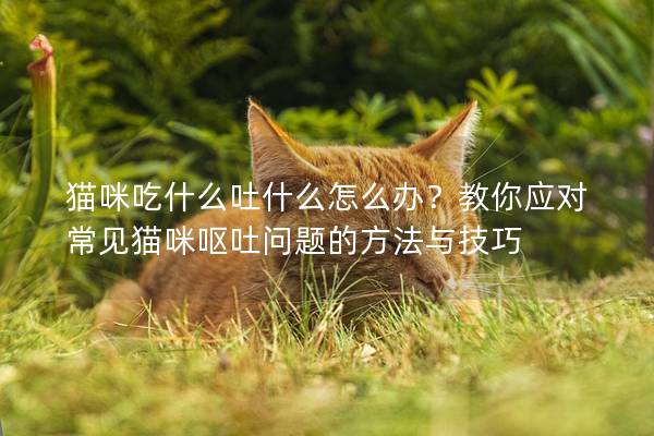 貓咪吃什么吐什么怎么辦？教你應對常見貓咪嘔吐問題的方法與技巧
