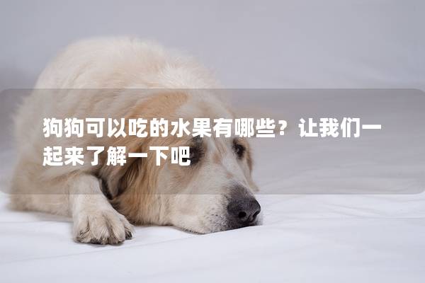 狗狗可以吃的水果有哪些？讓我們一起來了解一下吧