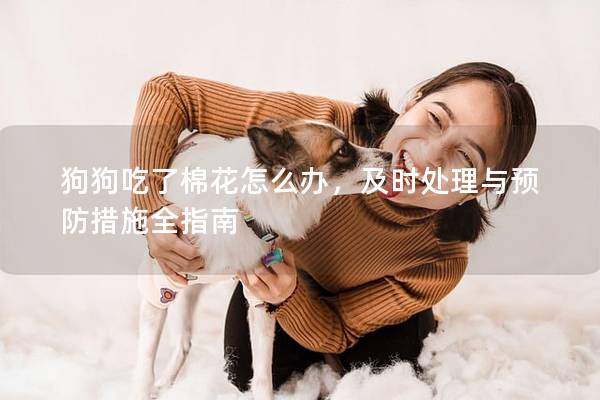狗狗吃了棉花怎么辦，及時處理與預防措施全指南
