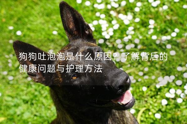 狗狗吐泡泡是什么原因？了解背后的健康問題與護理方法