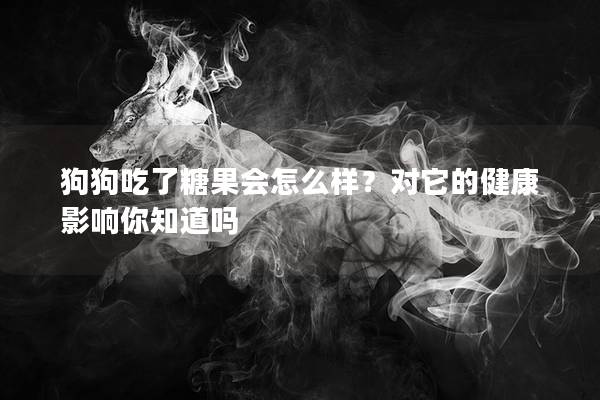 狗狗吃了糖果會(huì)怎么樣？對(duì)它的健康影響你知道嗎