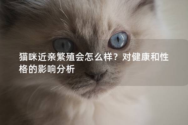 貓咪近親繁殖會怎么樣？對健康和性格的影響分析
